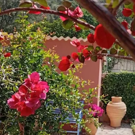 Lägenhetshotell Julietta 3*