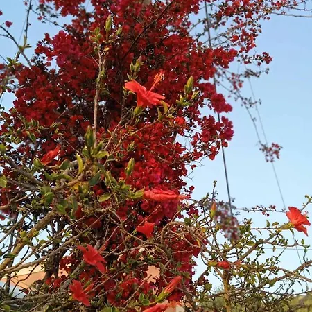 Lejlighedshotel Julietta 3*