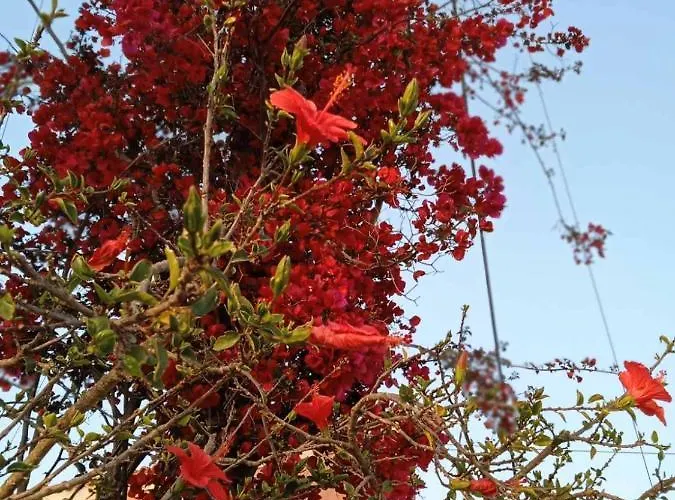 Aparthotel Julietta 4*