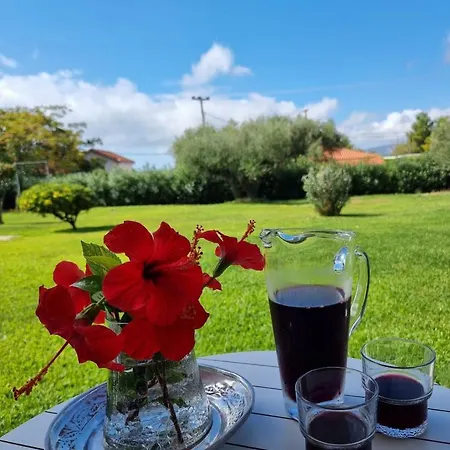 Julietta Hotel apartamentowy Argostoli (Kefalonia)